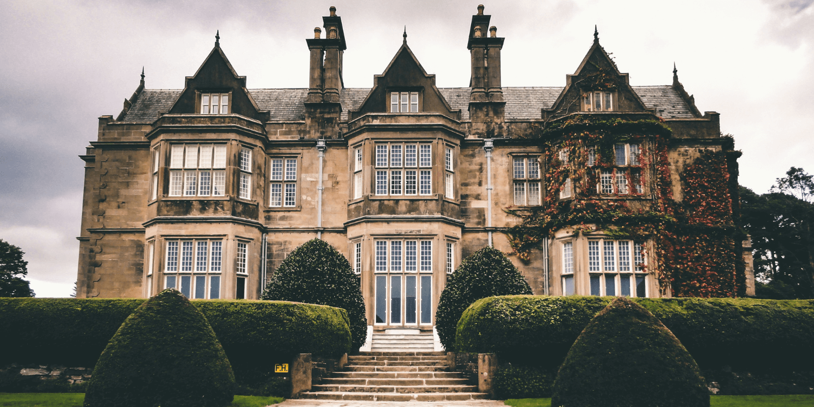 Pariatur eu enim velit eu commodo